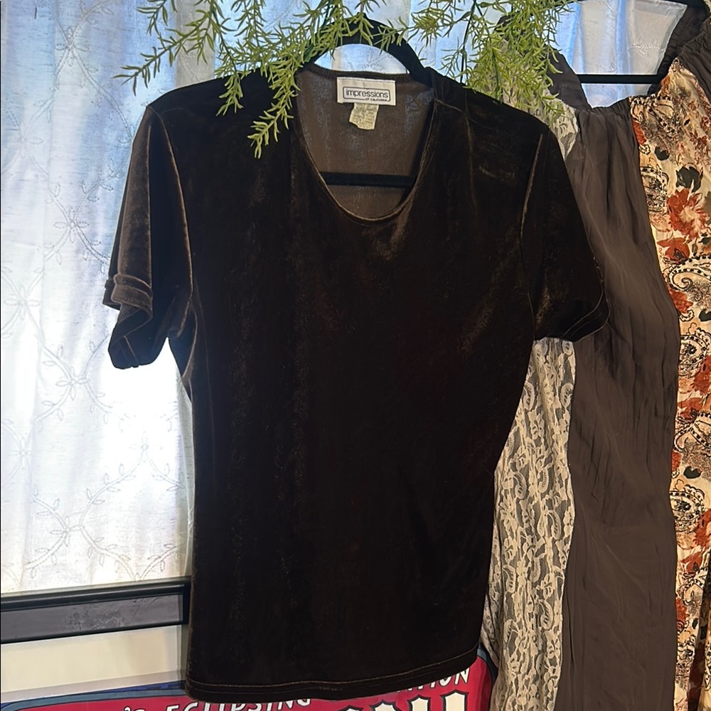 Brown Velvet Women's Top